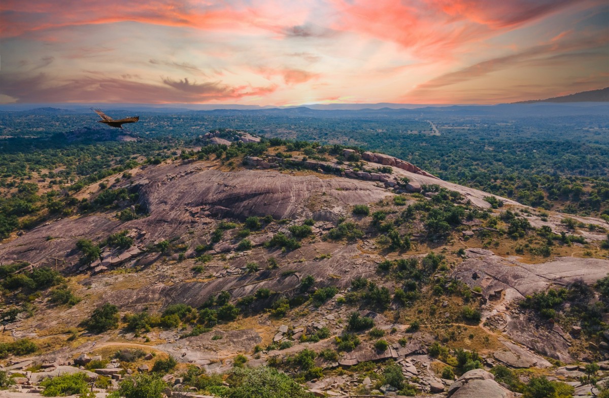 Prime 5 Texas Hill Nation Wine Locations: A Luxurious Residing Information