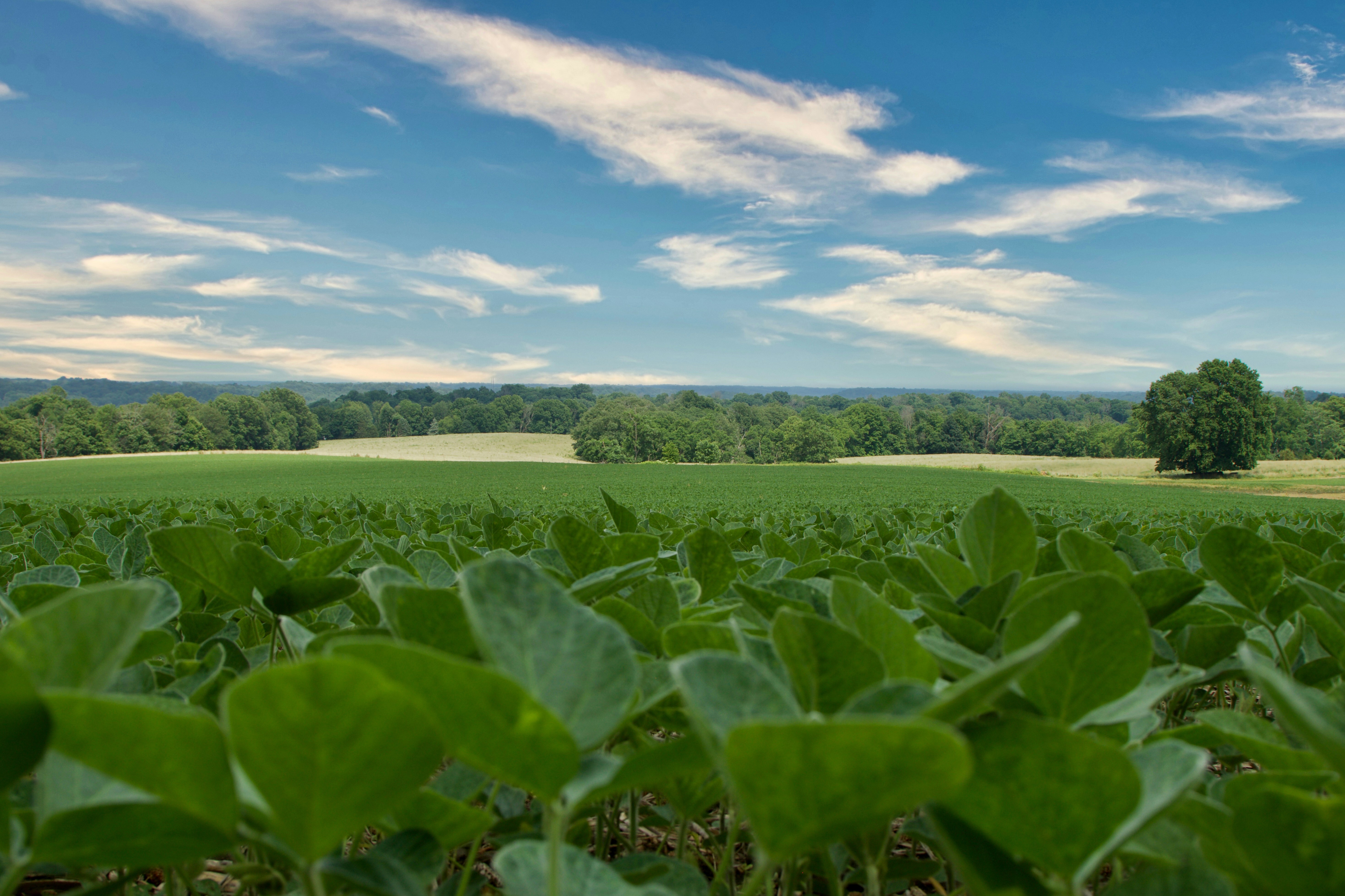 Summer Sanctuaries: Ohio and Indiana’s Most Refined Retreats