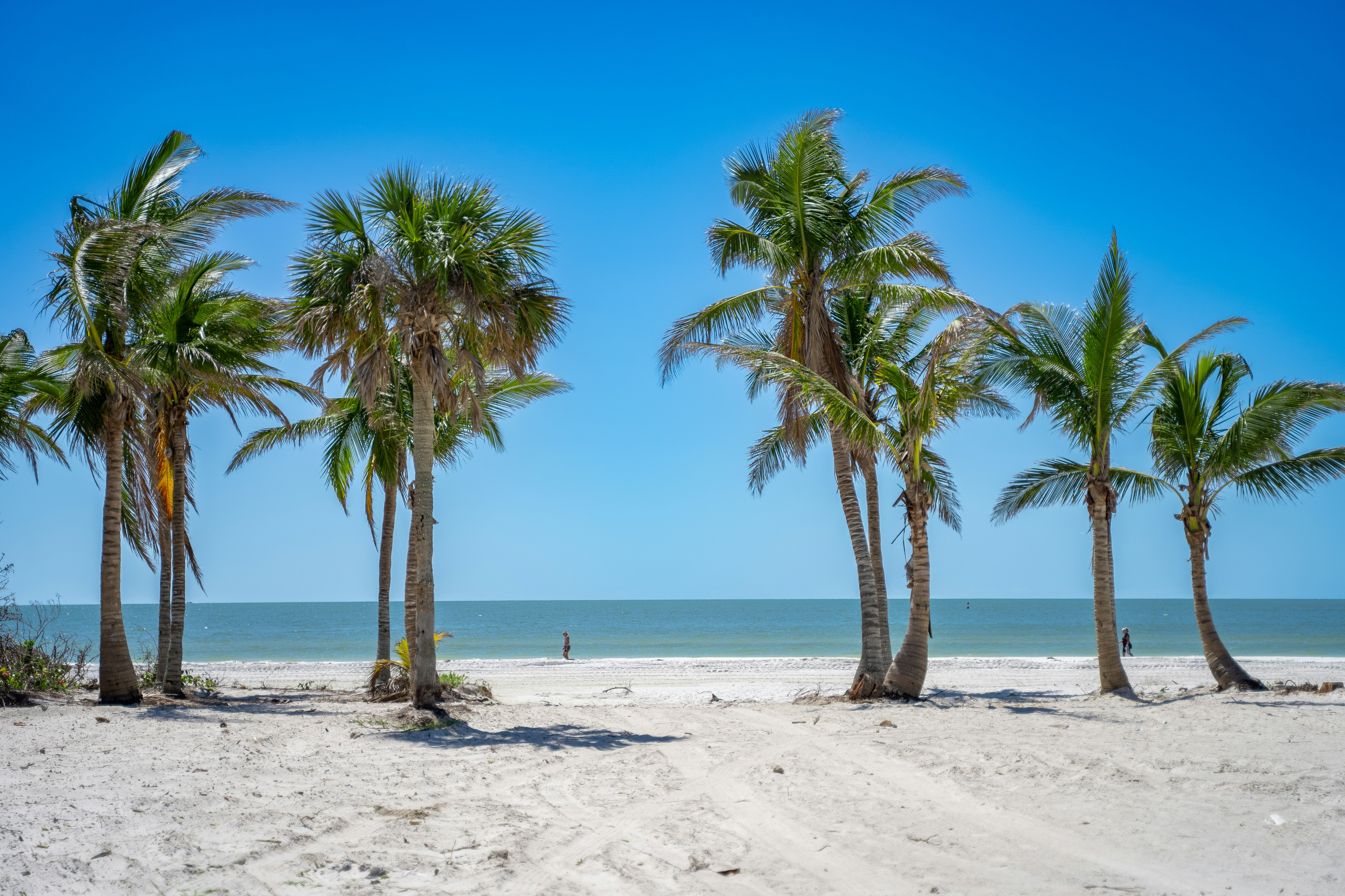 South Florida Gulf Coast: Where Luxury Meets Paradise