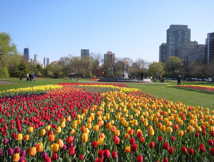 Haven’s Trending Neighborhood: Lincoln Park