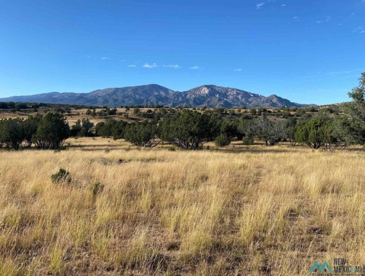 5 Land Listings in New Mexico