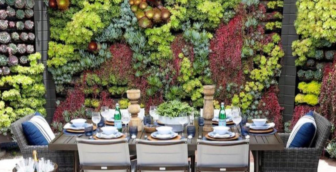 Elevation Living Walls