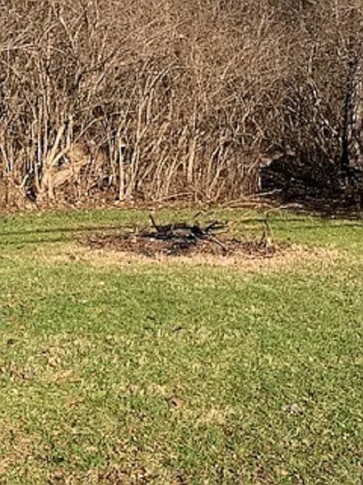 4 Land Listings Now Available in Illinois